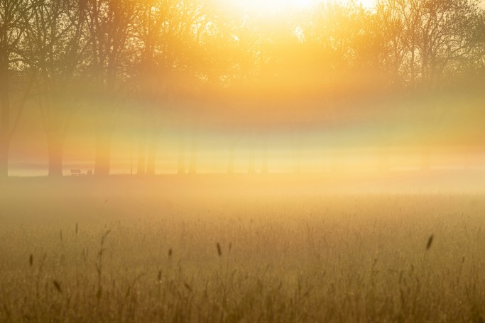 Warm golden sunlight shining through morning mist